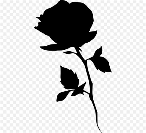 stencil drawing silhouette rose silhouette png