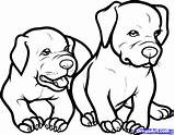 Coloring Pitbull Pages Dog Rottweiler Baby Step Pitbulls Dogs Printable Draw Puppy Color Drawing Pit Book Animals Kids Drawings Elegant sketch template