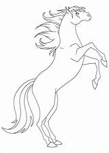 Kolorowanki Lenas Coloriage Leny Mistral Ranczo Darmowe Malvorlagen Cheval Pferde Coloriez Barbie Chevaux Secret Drucken Malowanki Horses sketch template