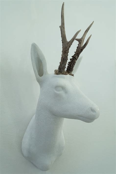 images white horn material antler sculpture art head