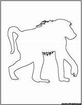 Animal Outlines Coloring Outline Pages Baboon sketch template