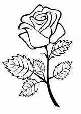 Flores Rose Calcar Faciles Rosas Dibujar Dibujosparacolorear Hojas Indiaparenting Especies sketch template