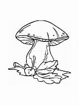 Coloring Mushrooms Pages Mushroom Morel Printable Drawing Getdrawings sketch template