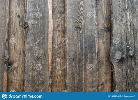 beautiful wood texture stock image image  timber
