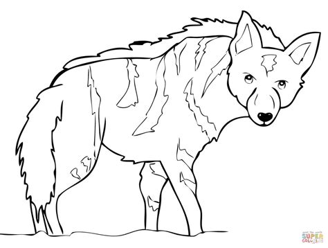 dhole coloring page coloring pages
