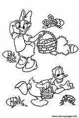 Coloring Daisy Disney Cartoon Donald Easter Pages Printable sketch template