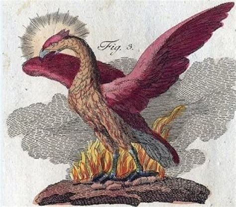 Mythical Fiery Bird Phoenix In Mythologies Of Many Ancient