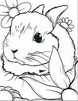 Rabbit Coloring Pages Adults Easter Colour Colouring Printable Print Color Getcolorings sketch template