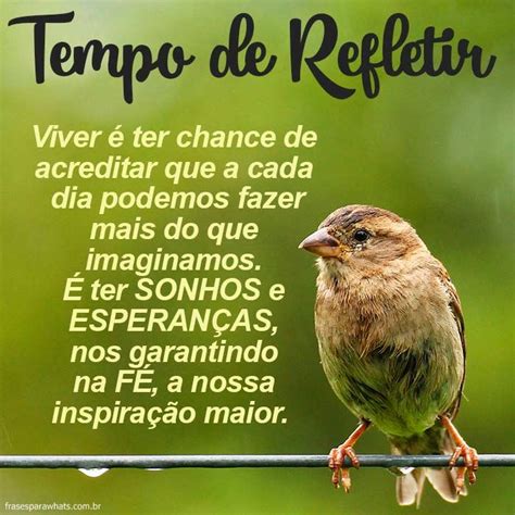 frases de reflexao frases  whatsapp