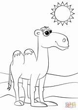 Camel Coloring Cartoon Cute Pages Camels Drawing Printable Puzzle Getdrawings Animals Supercoloring Categories sketch template