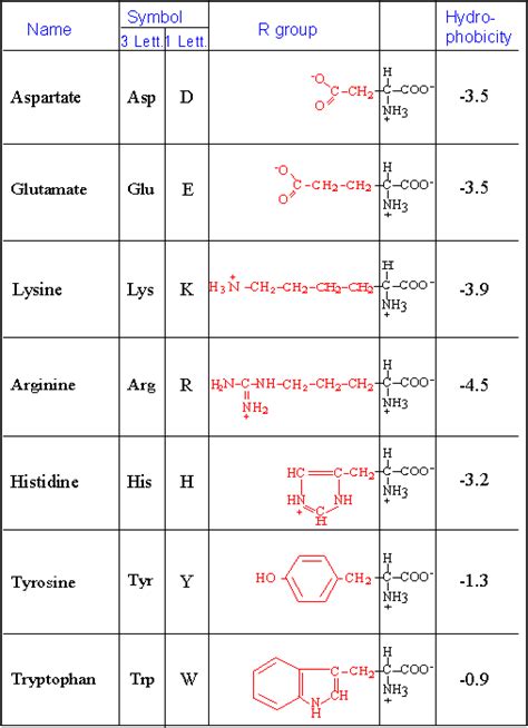 Amino Acid Symbols Causes Symptoms Treatment Amino Acid Symbols