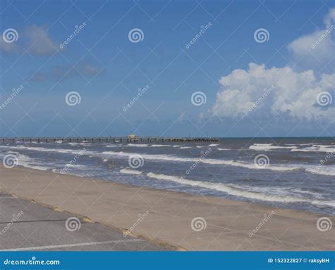 seawall boulevard galveston texas stock image image  tree sand