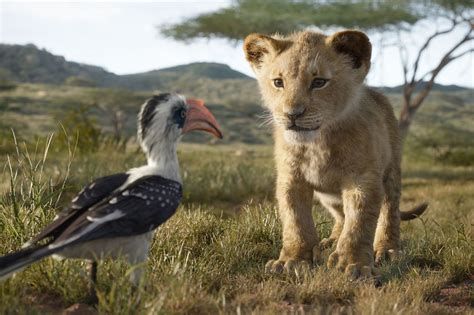 lion king news page