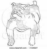 Bulldog Outlined Cartoon Clipart Coloring Vector Picsburg Scottie Rug Dog sketch template