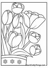 Tulip Flowers Tulips Iheartcraftythings Surely Bountifully Complement sketch template
