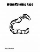 Worm Coloring Worms Printable Pages Board Choose Color Preschool sketch template