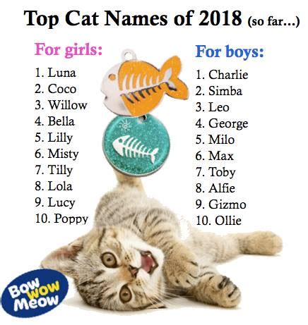 cat names bow wow meow pet insurance