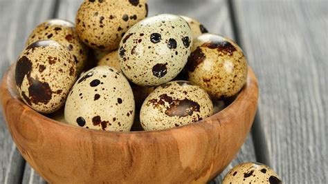 here is why quail eggs is good for men pulse ghana