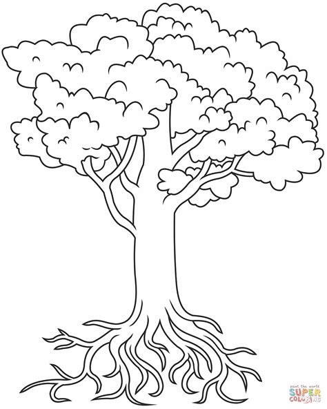 tree  roots coloring page  printable coloring pages