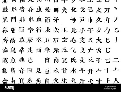 guion caracteres chinos extracto del alfabeto chino caracter