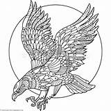 Eagle Coloring Pages Adults Book Bird Mandala Adult Graphicriver Stress Anti Animal Alexanderpokusay Tattoo Zentangle Books Style Stencil Illustration Visit sketch template