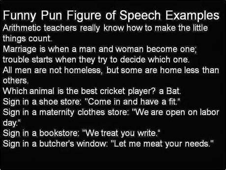 funny pun figure  speech  examples paperblog
