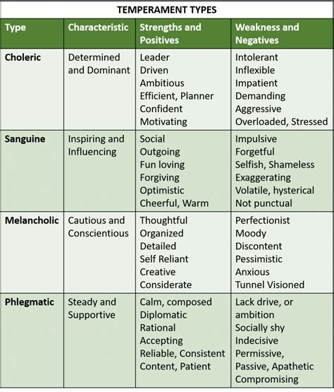 temperament  personality types traits  disorders