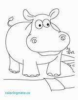 Coloring Hippo Pages Hippopotamus Funny Cartoon Baby Hippos Drawing Color Getdrawings Library Clipart Getcolorings Kids Popular sketch template