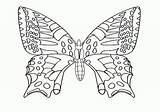 Mariposas Animados Chachipedia sketch template