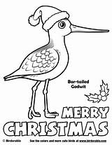 Christmas Coloring Pages Birds Cute Birdorable Choose Board sketch template