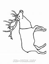 Caribou Coloring sketch template