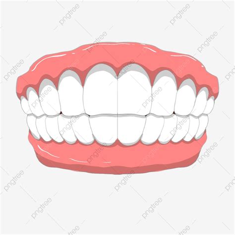 gambar badan manusia gigi gigi putih eksperimen kreatif gigi tangan