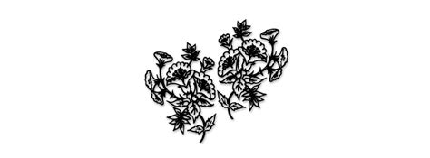 Flores Negras Para Portadas By Karinaedition13013 On