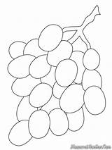 Grapes Coloring Gambar Buah Mewarnai Anggur Grape Weintrauben Uvas Kelengkeng Anak Hijau Ausmalbild Dan Mewarnaigambar Bagus sketch template