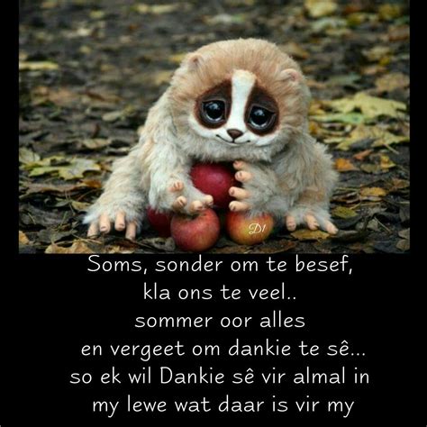 soms sonder om te besef kla ons te veel sommer oor alles en vergeet om dankie te se  ek