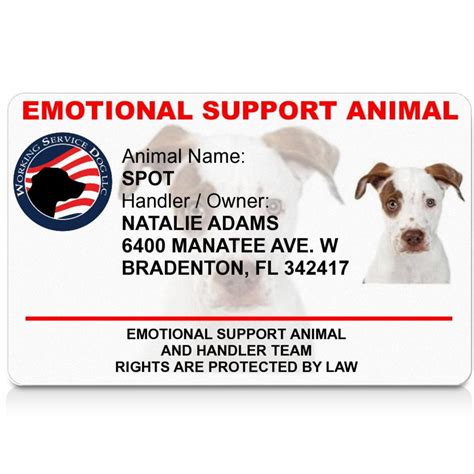 emotional support animal certificate ubicaciondepersonascdmxgobmx