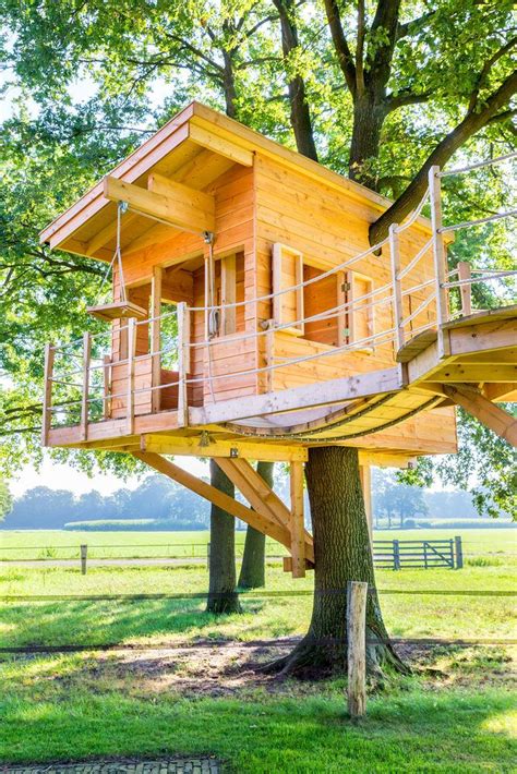 fun kids tree houses picture ideas  examples tree house diy cool tree houses tree