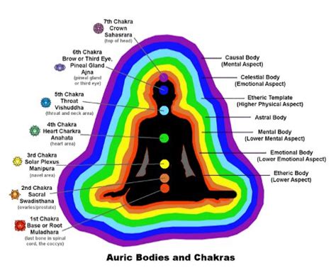 spirit science meaning  aura colors