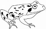 Kikker Frosch Grenouille Kleurplaten Frog Ausmalbilder Kleurplaat Mewarnai Coloriages Ausmalbild Kodok Katak Malvorlage Kikkertjes Bergerak Animierte Coloriage Imprimer Rana Animaatjes sketch template