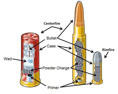 basic parts  ammunition  answers
