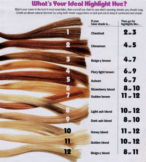 hair color techniques hair levels hair color formulas