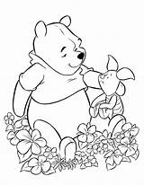 Pooh Winnie Coloring Dibujos Colorare Disegni Personajes sketch template