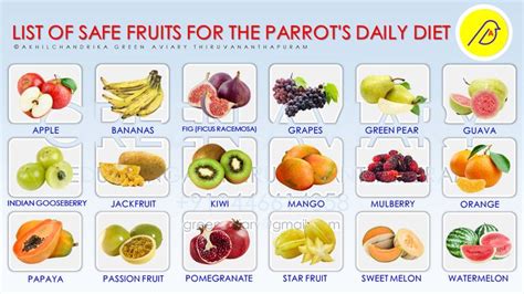 list  safe fruits   parrots daily diet