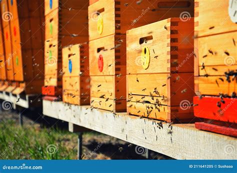 bijen die rond bijenkorven vliegen begrip bijenteelt stock afbeelding image  bijenkorf