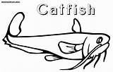 Catfish Coloring Pages Print sketch template