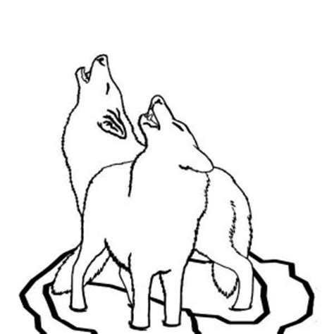 cute baby wolf coloring page cute baby wolf coloring page color