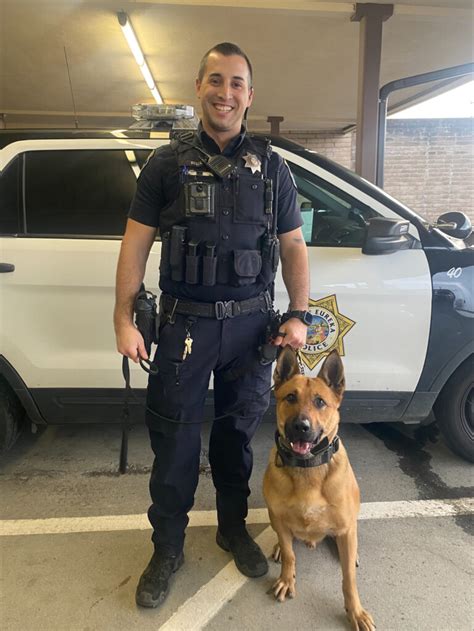 Epds K 9 Yeti Receives Body Armor Donated By Nonprofit Jandy Law