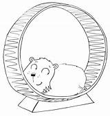 Hamster Wheel Drawing Stinky Coloring Pages Gold Family Printable Dwarf Am Notes Welcome Getdrawings Think Tree Who Do Most sketch template