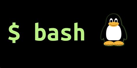 bash   linux