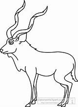 Clipart Outline Kudu Animals sketch template